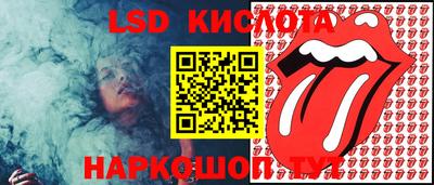 прущие грибы Тула