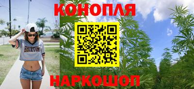 прущие грибы Тула