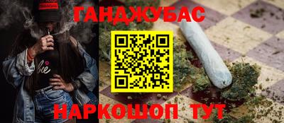прущие грибы Тула